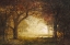 Picture of FOREST SUNRISE