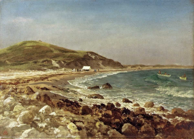 Picture of COASTAL SCENE