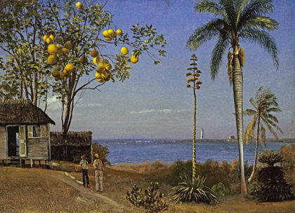 Picture of TROPICAL SCENE