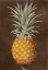 Picture of PINEAPPLE