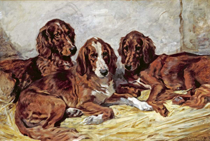 Picture of SHOT AND HIS FRIENDS - THREE IRISH RED AND WHITE SETTERS