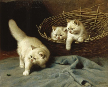 Picture of WHITE ANGORA KITTENS WITH A BEETLE