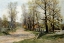 Picture of THE COUNTRY LANE
