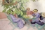 Picture of UNDER THE CHESTNUT TREE