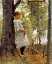 Picture of IN THE WOODS