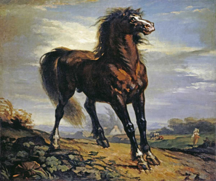 Picture of THE HORSE