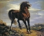 Picture of THE HORSE