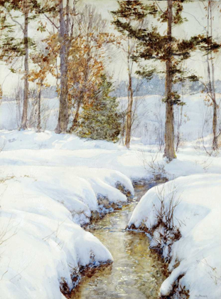 Picture of SNOWLADEN BROOK