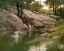 Picture of THE SWIMMING HOLE