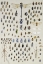 Picture of ONE HUNDRED AND FIFTY INSECTS