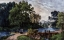 Picture of SUMMER MORNING