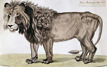 Picture of KING OF THE BEASTS
