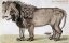 Picture of KING OF THE BEASTS
