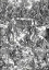 Picture of LAST JUDGMENT