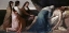 Picture of PIETA