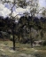 Picture of LANDSCAPE OF NORMANDY