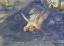 Picture of LAMENTATION (DETAIL)