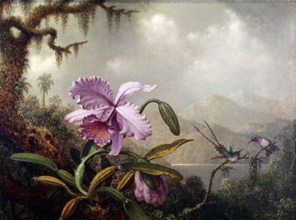 Picture of HUMMINGBIRDS AND ORCHIDS