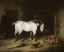 Picture of WHITE HORSE