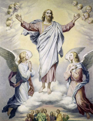 Picture of ASCENSION, THE HOFFMAN