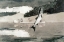 Picture of FLYING FISH ON LAKE JOHN