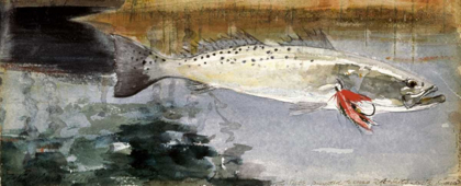 Picture of MRS. R. H. WATTS TROUT