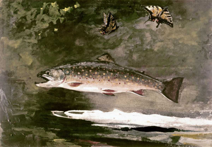 Picture of TROUT