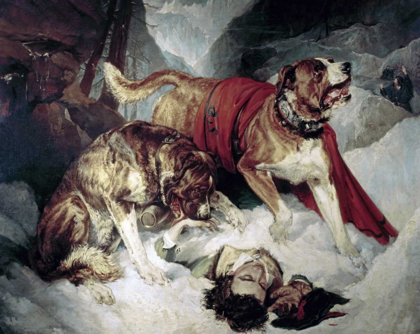 Picture of ALPINE MASTIFFS REANIMATING A DISTRESSED TRAVELLER