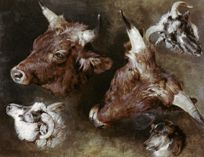 Picture of HEADS OF SHEEP AND CATTLE
