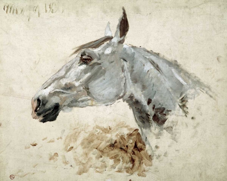 Picture of TESTO DI CAVALLO