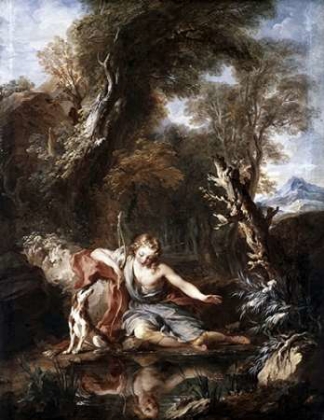 Picture of NARCISSUS
