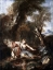 Picture of NARCISSUS