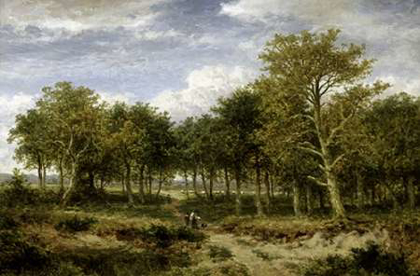 Picture of WOODED LANDSCAPE NEAR SURREY