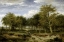Picture of WOODED LANDSCAPE NEAR SURREY