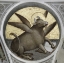 Picture of SAINT LUKE AS AN OX