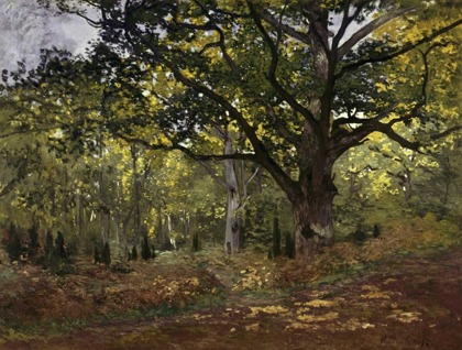 Picture of BODMER OAK, FONTAINEBLEAU FOREST, 1865