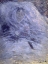 Picture of CAMILLE MONET ON HER DEATHBED