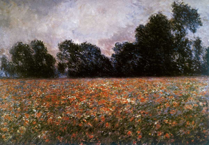 Picture of FIELD OF WILD POPPIES