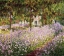 Picture of GARDEN AT GIVERNY