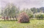 Picture of HAYSTACK