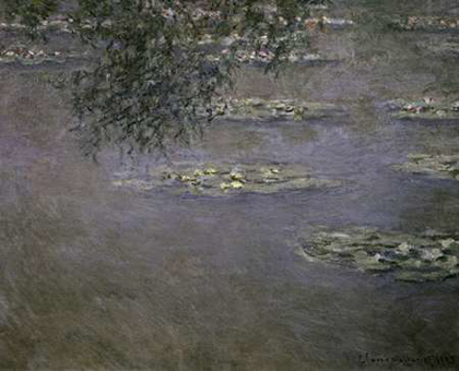 Picture of NYMPHEAS (WATER LILIES)