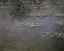 Picture of NYMPHEAS (WATER LILIES)