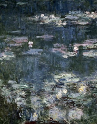 Picture of NYMPHEAS - WATER LILIES - DETAIL