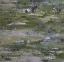 Picture of STUDY OF WATER LILIES - ETUDE DES NYMPHEAS
