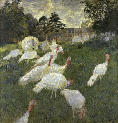 Picture of THE TURKEYS AT THE CHATEAU DE ROTTEMBOURG, MONTGERON