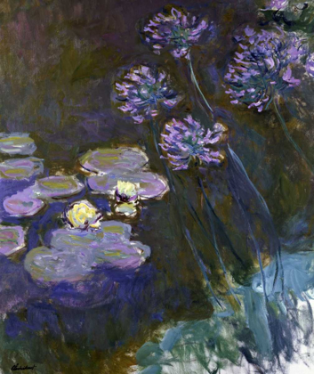 Picture of WATER LILIES AND AGAPANTHUS
