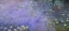 Picture of WATER LILIES: MORNING, C. 1914-26 - CENTER-RIGHT PANEL