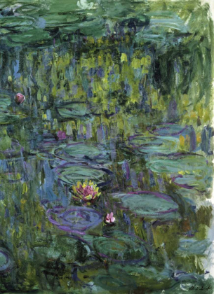 Picture of WATER LILIES - NYMPHEAS XI