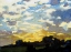 Picture of GOLDEN SUNSET