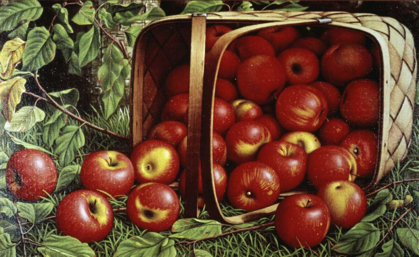 Picture of BASKET OF APPLES